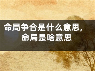 命局争合是什么意思,命局是啥意思