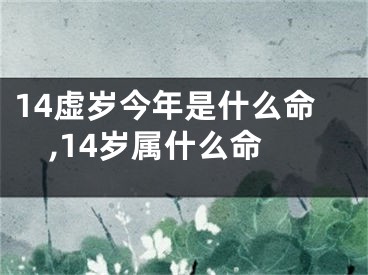 14虚岁今年是什么命,14岁属什么命