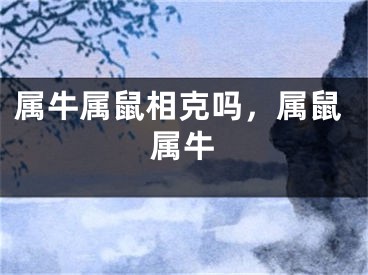 属牛属鼠相克吗，属鼠属牛