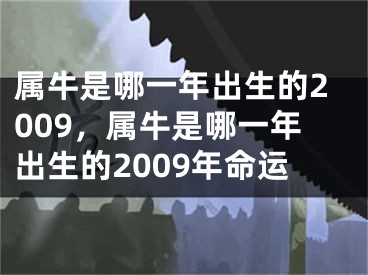属牛是哪一年出生的2009，属牛是哪一年出生的2009年命运