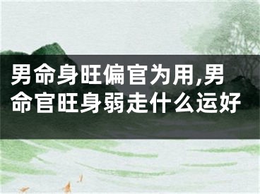 男命身旺偏官为用,男命官旺身弱走什么运好