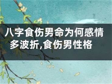 八字食伤男命为何感情多波折,食伤男性格