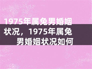 1975年属兔男婚姻状况,1975年属兔男婚姻状况如何