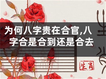 为何八字贵在合官,八字合是合到还是合去