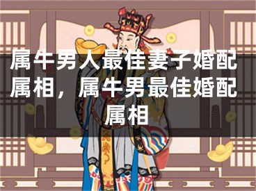 属牛男人最佳妻子婚配属相，属牛男最佳婚配属相