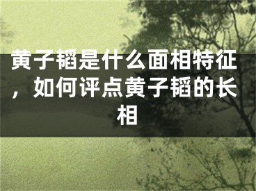 黄子韬是什么面相特征，如何评点黄子韬的长相