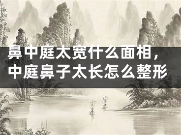 鼻中庭太宽什么面相，中庭鼻子太长怎么整形