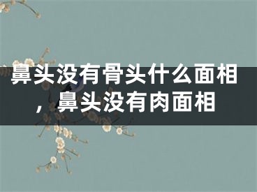 鼻头没有骨头什么面相,鼻头没有肉面相