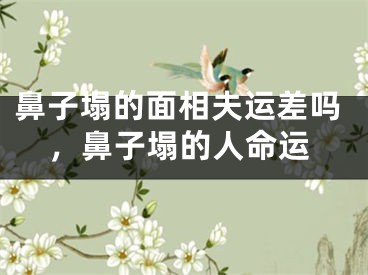 鼻子塌的面相夫运差吗，鼻子塌的人命运