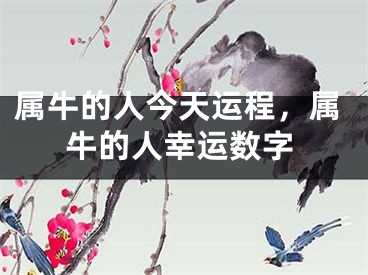属牛的人今天运程，属牛的人幸运数字