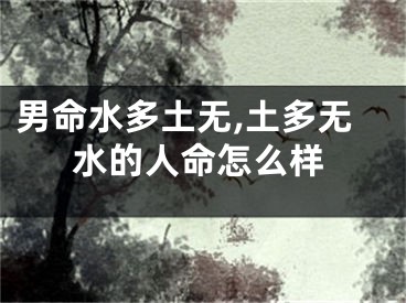 男命水多土无,土多无水的人命怎么样