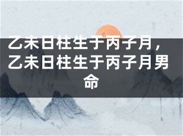 乙未日柱生于丙子月，乙未日柱生于丙子月男命