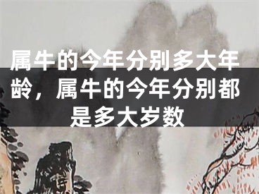 属牛的今年分别多大年龄，属牛的今年分别都是多大岁数