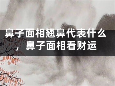 鼻子面相翘鼻代表什么，鼻子面相看财运