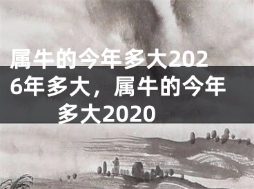 属牛的今年多大2026年多大，属牛的今年多大2020