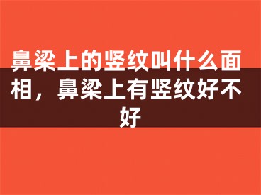 鼻梁上的竖纹叫什么面相，鼻梁上有竖纹好不好