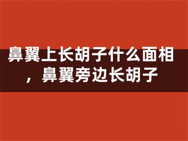 鼻翼上长胡子什么面相，鼻翼旁边长胡子