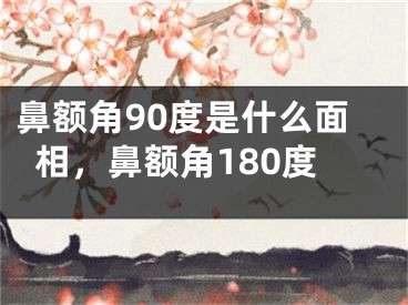 鼻额角90度是什么面相，鼻额角180度