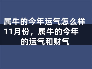 属牛的今年运气怎么样11月份，属牛的今年的运气和财气