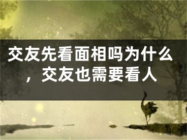 交友先看面相吗为什么，交友也需要看人