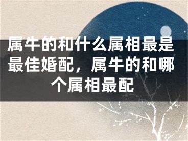 属牛的和什么属相最是最佳婚配，属牛的和哪个属相最配