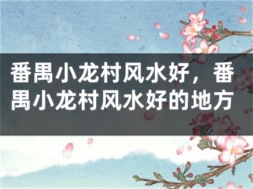 番禺小龙村风水好，番禺小龙村风水好的地方