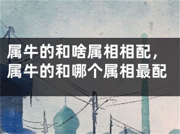 属牛的和啥属相相配，属牛的和哪个属相最配