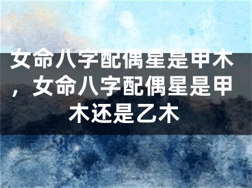 女命八字配偶星是甲木，女命八字配偶星是甲木还是乙木