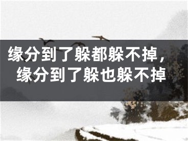 缘分到了躲都躲不掉，缘分到了躲也躲不掉