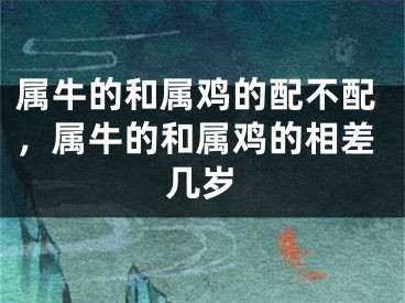 属牛的和属鸡的配不配，属牛的和属鸡的相差几岁