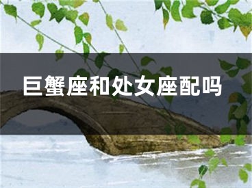 巨蟹座和处女座配吗