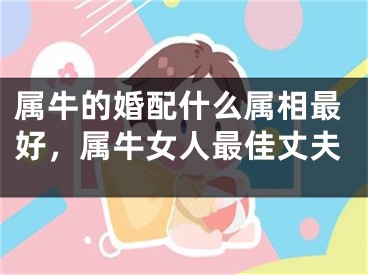 属牛的婚配什么属相最好，属牛女人最佳丈夫