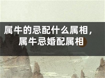 属牛的忌配什么属相，属牛忌婚配属相