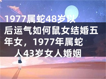 1977属蛇48岁以后运气如何鼠女结婚五年女，1977年属蛇人43岁女人婚姻