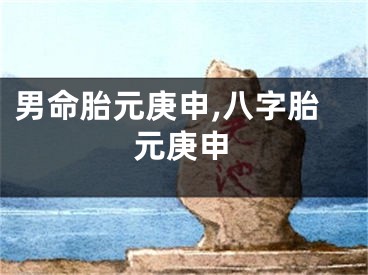 男命胎元庚申,八字胎元庚申