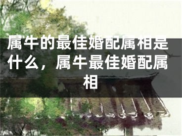 属牛的最佳婚配属相是什么，属牛最佳婚配属相