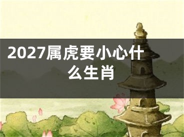 2027属虎要小心什么生肖