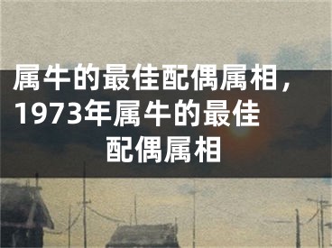 属牛的最佳配偶属相，1973年属牛的最佳配偶属相