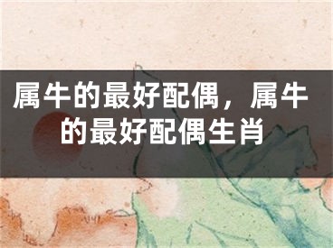 属牛的最好配偶，属牛的最好配偶生肖