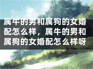 属牛的男和属狗的女婚配怎么样，属牛的男和属狗的女婚配怎么样呀