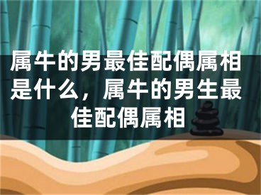 属牛的男最佳配偶属相是什么，属牛的男生最佳配偶属相