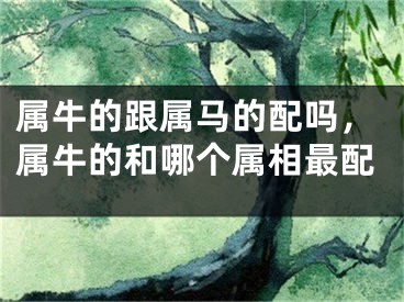 属牛的跟属马的配吗，属牛的和哪个属相最配