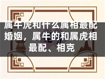 属牛虎和什么属相最配婚姻，属牛的和属虎相最配、相克