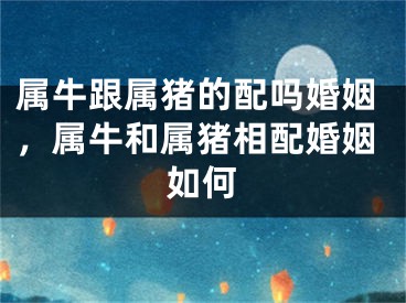 属牛跟属猪的配吗婚姻，属牛和属猪相配婚姻如何