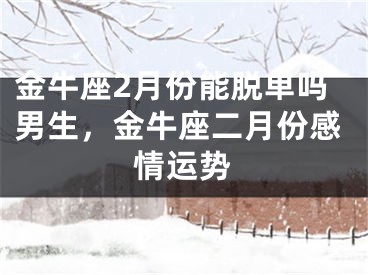 金牛座2月份能脱单吗男生，金牛座二月份感情运势