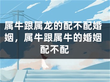 属牛跟属龙的配不配婚姻，属牛跟属牛的婚姻配不配