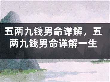 五两九钱男命详解，五两九钱男命详解一生