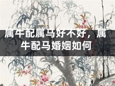 属牛配属马好不好，属牛配马婚姻如何