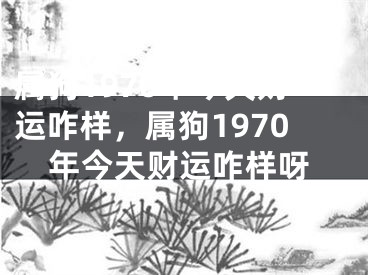 属狗1970年今天财运咋样，属狗1970年今天财运咋样呀