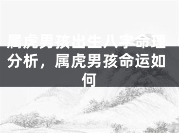 属虎男孩出生八字命理分析，属虎男孩命运如何